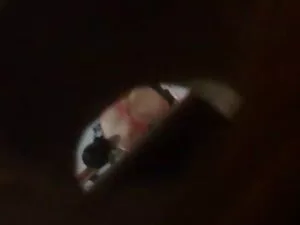 - numa nova cena fil ...