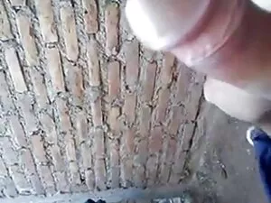 A porno brasileiro v ...