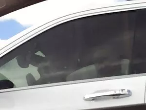 rus rusex.vip сосет  ...